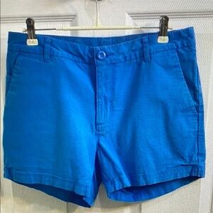 Vibrant Blue Casual Shorts